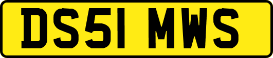 DS51MWS