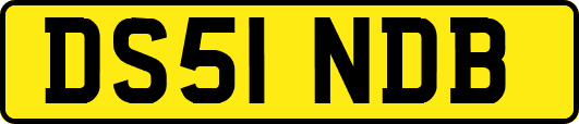 DS51NDB