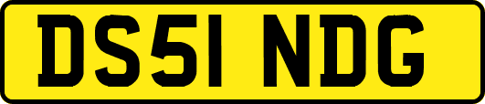 DS51NDG