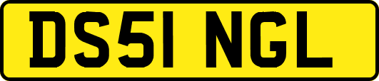 DS51NGL