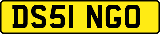 DS51NGO