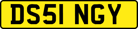 DS51NGY