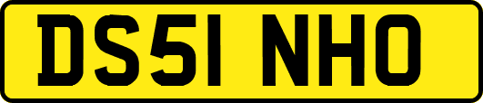 DS51NHO