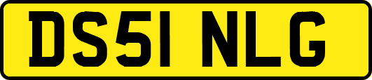 DS51NLG