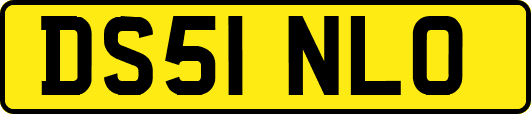 DS51NLO