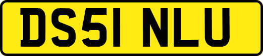 DS51NLU