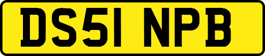 DS51NPB