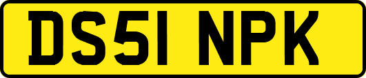 DS51NPK