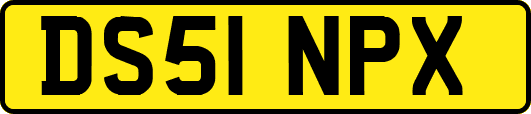 DS51NPX