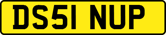 DS51NUP