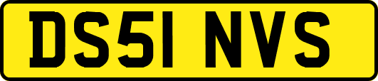 DS51NVS