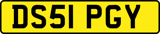 DS51PGY