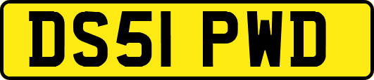DS51PWD