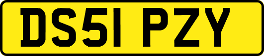 DS51PZY