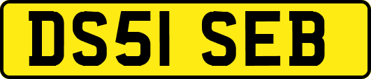 DS51SEB