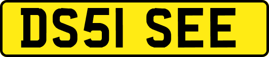 DS51SEE