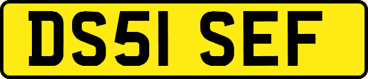DS51SEF