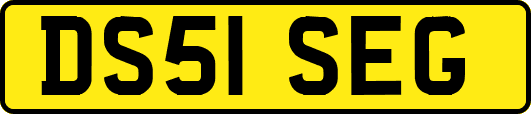 DS51SEG