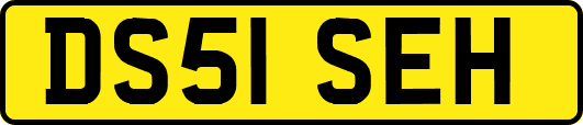 DS51SEH