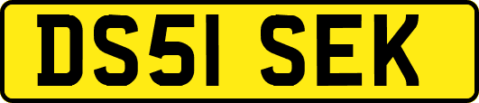 DS51SEK