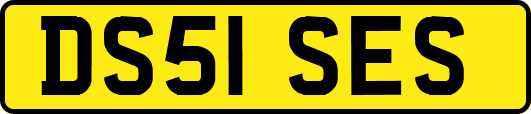 DS51SES