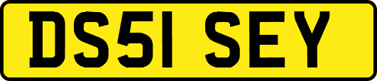 DS51SEY