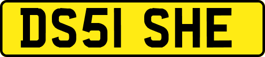 DS51SHE