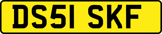 DS51SKF