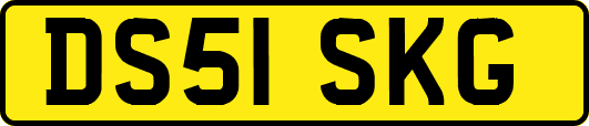 DS51SKG