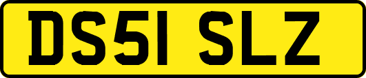 DS51SLZ