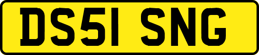 DS51SNG
