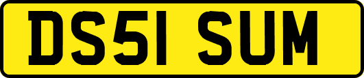 DS51SUM