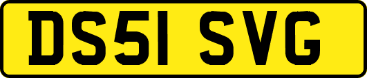 DS51SVG