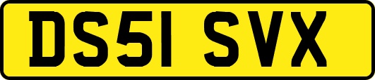 DS51SVX