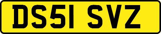 DS51SVZ