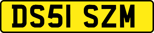 DS51SZM