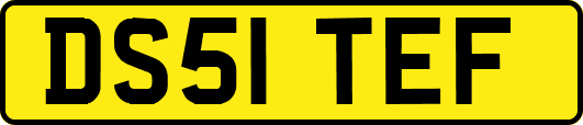 DS51TEF
