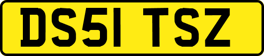 DS51TSZ