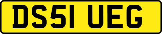 DS51UEG