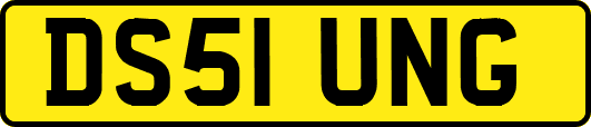 DS51UNG