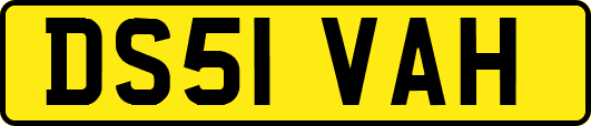 DS51VAH