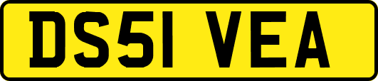 DS51VEA