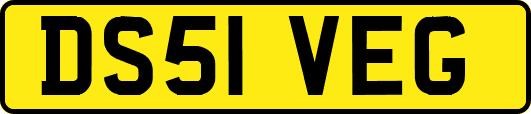 DS51VEG
