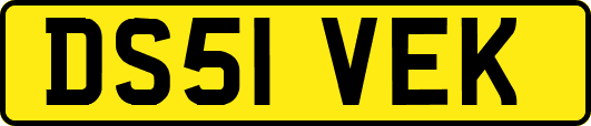 DS51VEK