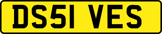 DS51VES