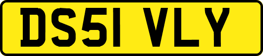 DS51VLY