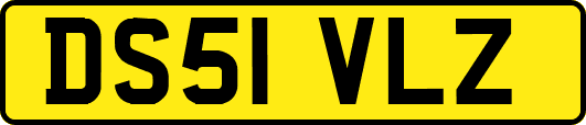 DS51VLZ