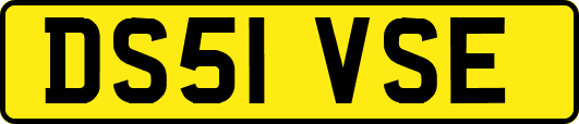 DS51VSE