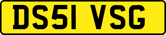 DS51VSG