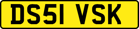 DS51VSK